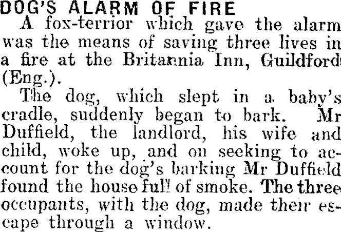 DOG'S ALARM OF FIRE. (Mataura Ensign 6-11-1912)
