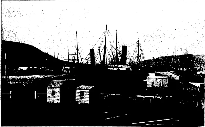 VIEW OP THE JETTY STREET WHARF FROM THE DUNEDIN OVERBRIDGE.  (Photos by Hicks.) The three steamers berthed at the wharves are the Whangape, Elingamite, and Hafis. (Otago Witness, 27 August 1902)