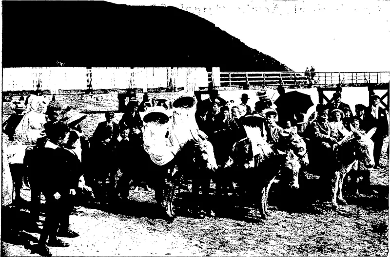 CHILDREN RIDING ON THE DONKEYS. SNAPSHOT ON THE OCCASION OP THE LABOUR DAY PICNIC AT -L. Daroux, photo. DAY'S BAY, WELLINGTON. (Otago Witness, 25 November 1903)