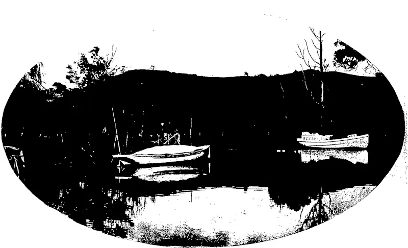 VIEW ON THE KAEO RIVER, SHOWING OIL LAUNCHES TRADING BETWEEN KAEO AND WHANGAROA. (Otago Witness, 30 December 1903)