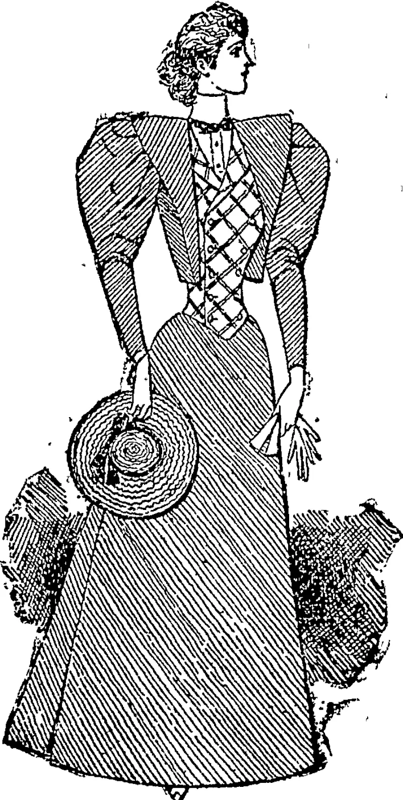 A Serviceable Costume, (Auckland Star, 03 November 1894)