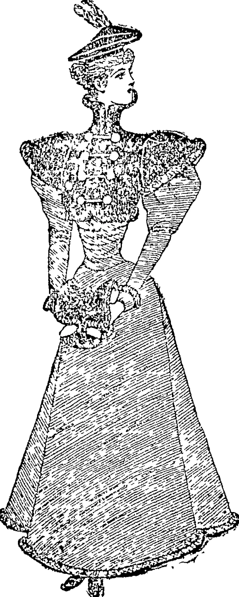 A Pk,i.,i. ...._ing Costume. (Auckland Star, 10 July 1897)