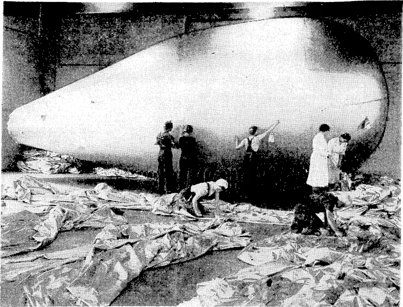 Barrage balloons in the making. An almost complete balloon is seen in the background under air-pressure test at one of the factories working for the Ministry of Aircraft Production. This factory ivas previously engaged in making women s wear. (Evening Post, 22 October 1941)