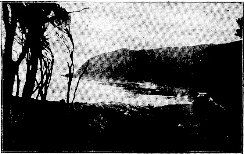 Vivian-Photo. SITE OF■-_<■MODERN MAORI PA.—HongoehaMaorV Settlement, built near Plimmerton. (Evening Post, 05 February 1930)