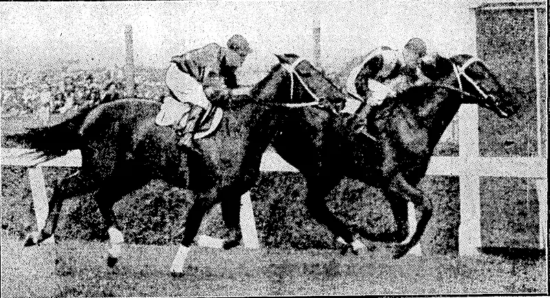 Sport and General" Pboto; ON A BICYCLE BUILT FOR FOUR.—A merry jarty of students riding along the towpath during the "getting-on" races at Cam- / bridge on 11th February ■ in: pre paraiion for the Lent, races. MIGHTY PHAR LAP DOWNED.—Waterline, a New Zealand horse, defeating Phar Lap in 'the C. M. Lloyd Stakes at Flemington, Victoria, on. 7th March. The result came as a great surprise to the racing world,. W. Duncan was on the winner. Phar Lap carried 9.7; Waterline's load was only 8.0 (Evening Post, 20 March 1931)