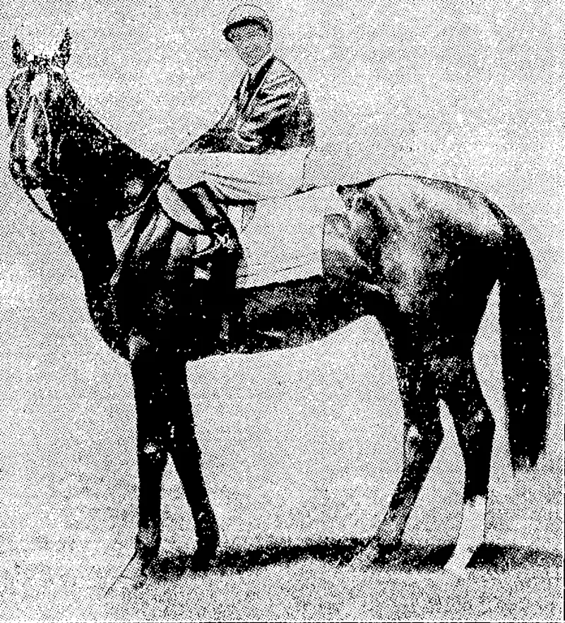 WINNER OF THE MELBOURNE CUP.—P. H. WLachlan's horse White Nose, by Paraloo-Telleramana, winner of the Melbourne Cup on 3rd November. Mr. M'Lachlan bred While Nose, whose sire made four unsuccessful attempts to ivin the Cup. (Evening Post, 19 November 1931)