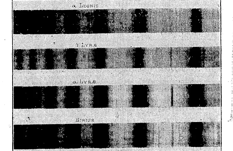 Portions of the spectra of some pre-solar stars, showing bands due to hydrogen. (Evening Post, 22 April 1933)