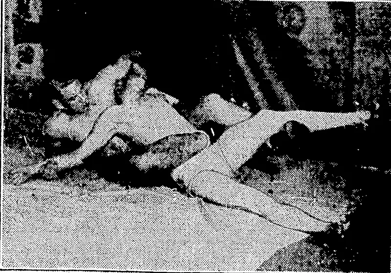 LOFTY" BLOMFIELD, the Auckland professional wrestler, who '' has been meeting icith considerable success this season. Fie 'is hold. • ) ing a figure-four scissors and a head lock on a sparring'partner* '( \ ■ )■ (Evening Post, 31 August 1935)