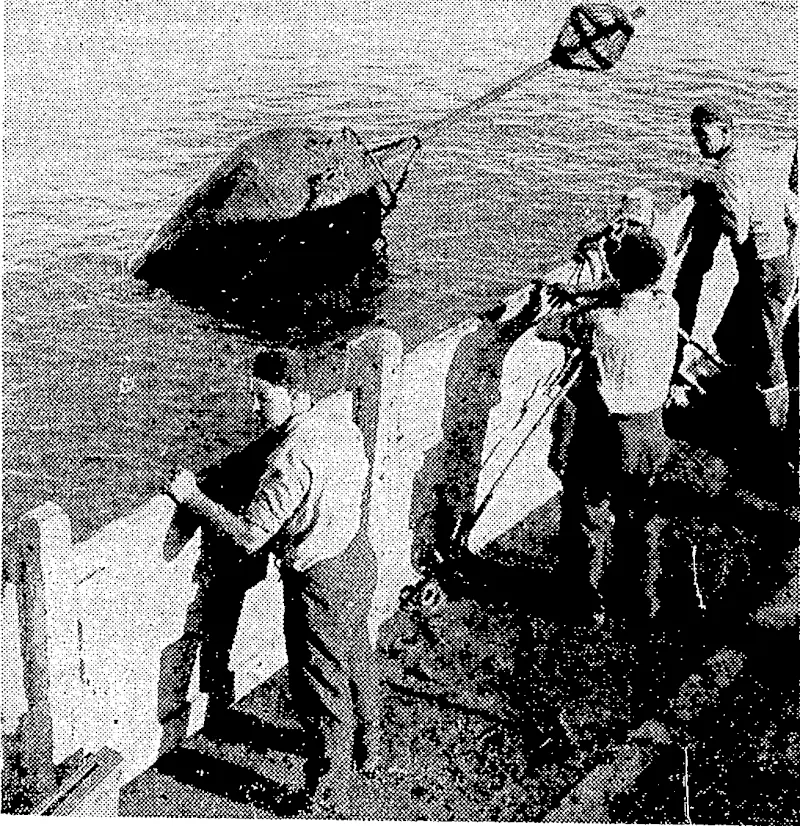 K. D. Grocott Photo. LAYING A SUBMARINE CABLE.—The-mark buoy fixed to-the end of the Cook Strait telegraph cable, 31 miles from White's Bay, to enable the-cableship Recorder later to pick up the end and splice (Evening Post, 30 May 1936)