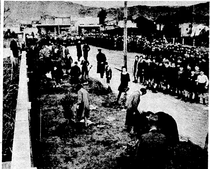 y Arbor Day in < Petone. Children from four schools planting trees in Udy Street. ' • (Evening Post, 12 August 1937)