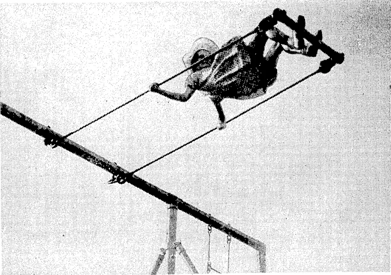 Evening Tost" Photo.. \ This daring child wasseen■swinging this .weekJn:the^playjarea^atiß(3diford:Park,.Lower.^Hui^- _i_ (Evening Post, 06 March 1937)