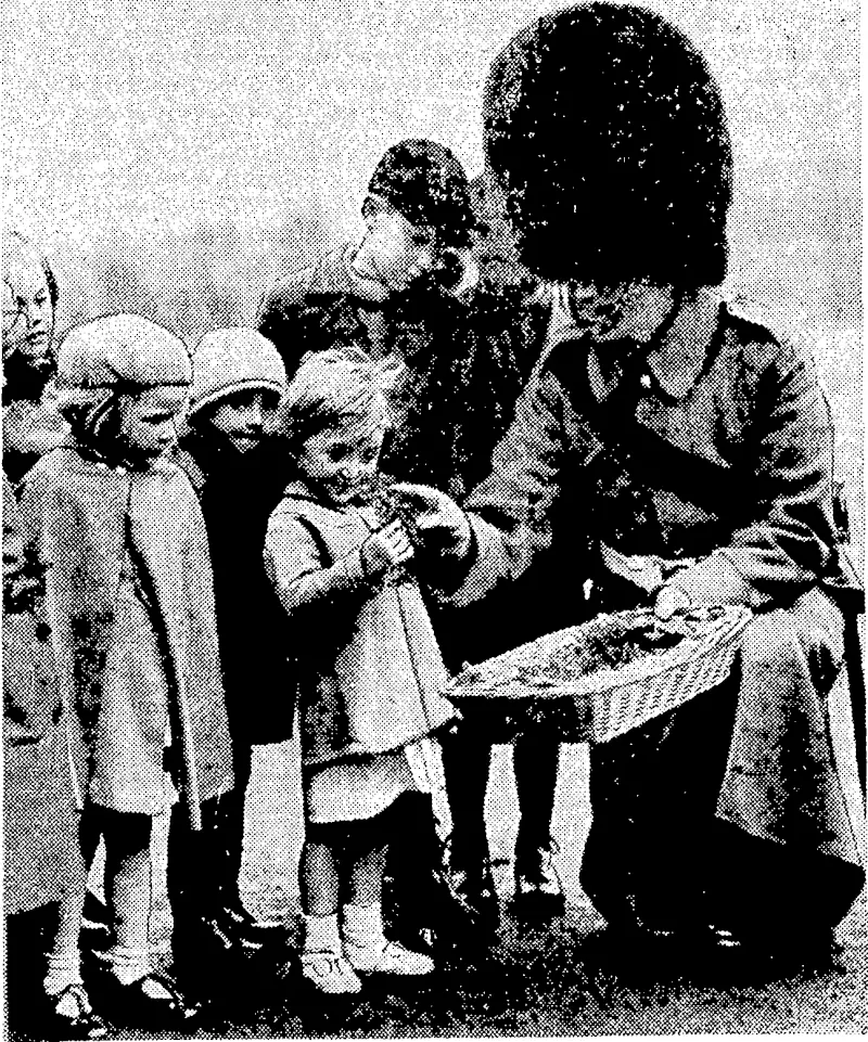 Sport and General" Photo. Distributing shamrocks to children of the Irish Guards in the grounds of the depot at Caterham, Surrey, on St. Patrick's Day, March 17. (Evening Post, 07 April 1938)