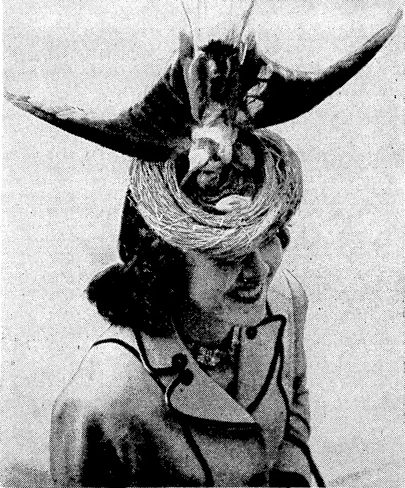 One of the amazing hat fashions seen at a recent Parisian millinery competition. The bird's nest is complete with parent and eggs. (Evening Post, 24 June 1939)