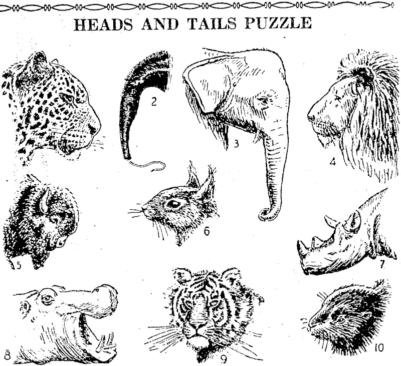 You'll find great fun in this game of Heads and Tails. See If you can work it out, A head and a tail are shown for each of ten animals, bui they are not given in the same order. Write the number of the head. the letter of. the tail, and the name of the animal for each. For example. 11 M Donkey. All the ten animals are included in this, list: Anteater. Antelope, Bear, Beaver, Bison, Buffalo, Elephant, Gazelle, Hippopotamus. Leopard, Lion, Lynx, Racoon, Rat, Rhinoceros, Seal, Squirrel. Tiger, Yak. (Evening Post, 26 August 1939)