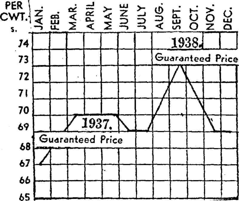 CHEESE, MARKET STEADY. (Evening Post, 09 January 1939)