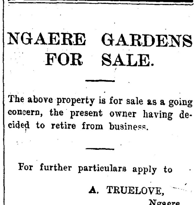 Page 8 Advertisements Column 3 (Taranaki Daily News 31-12-1915)