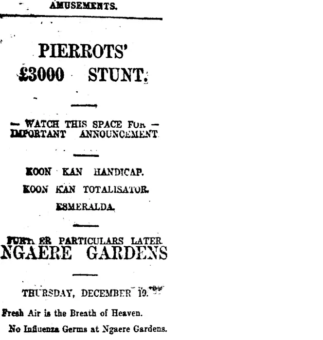 Page 1 Advertisements Column 1 (Taranaki Daily News 10-12-1918)