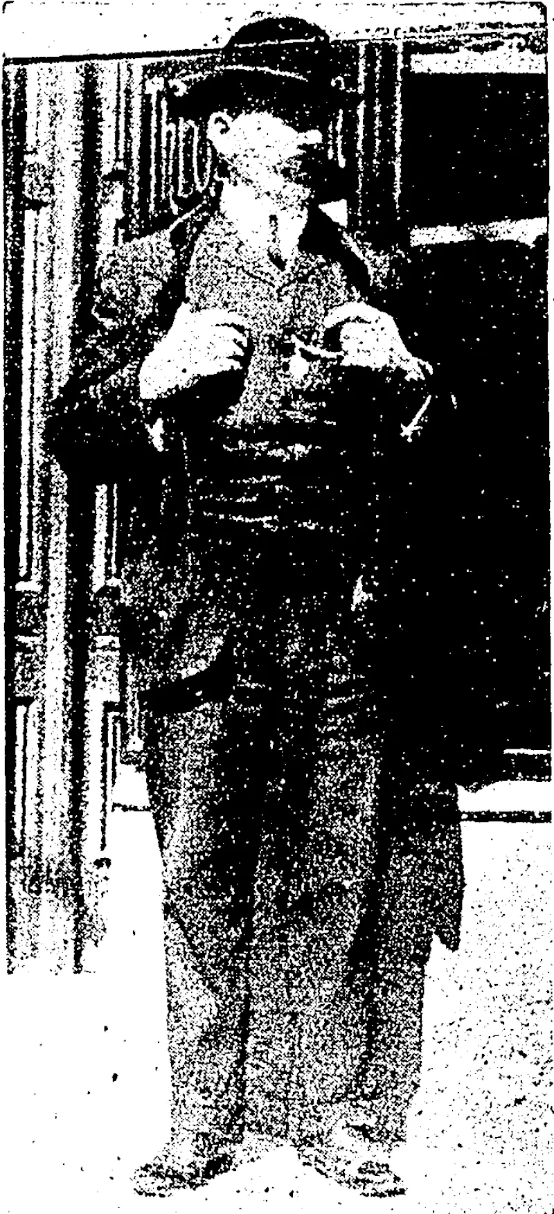 LOST���A PARROT.  A City Club Snap. (Observer, 19 September 1908)