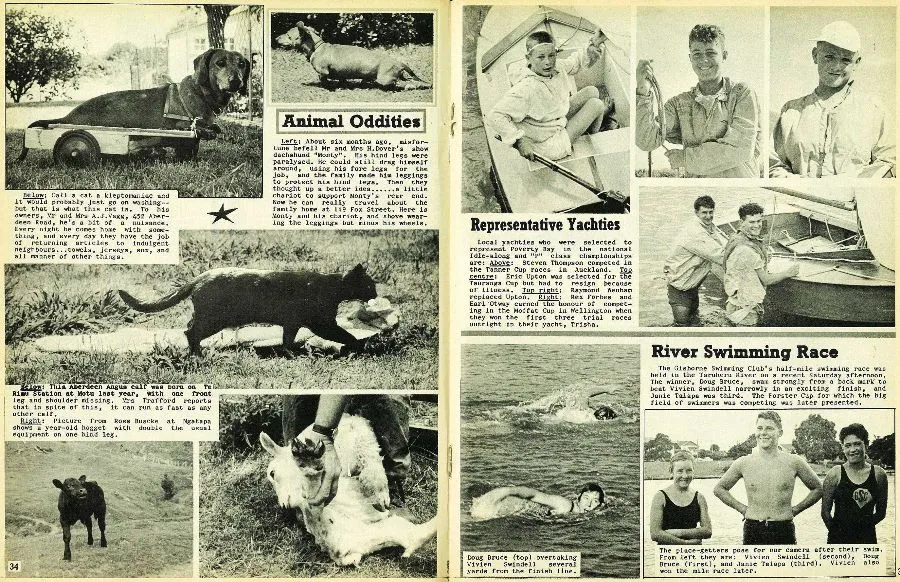Animal Oddities