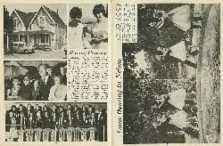 Come Dancing in Nelson