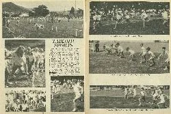 Tabloid Sports