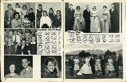 Wedding Bells