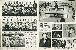 Perry Shield Table Tennis