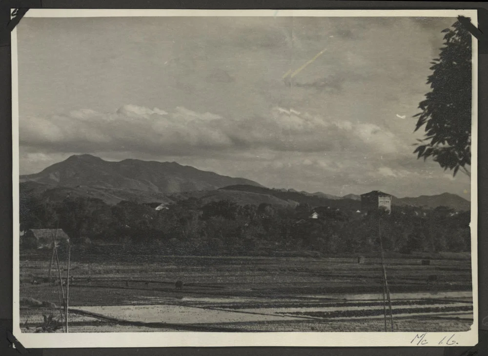 View From Fong Chuen Compound