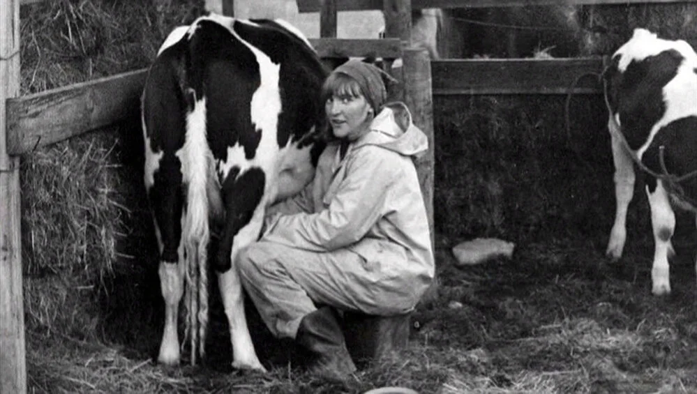 Milking at Rainbow Valley Community