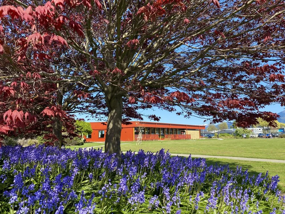Motueka Library Te Noninga Kumu in spring