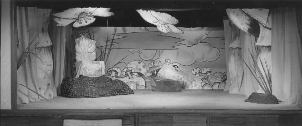 Heretaunga Players; King Cole's Court: stage.