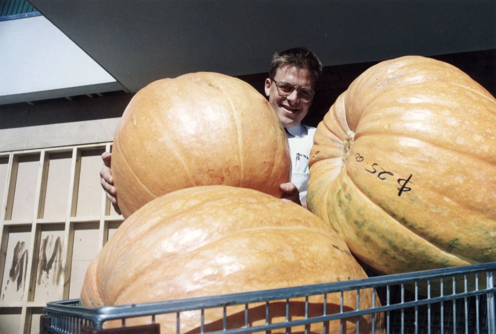 Pak'n Save supermarket; pumpkins for weight-guessing competition.