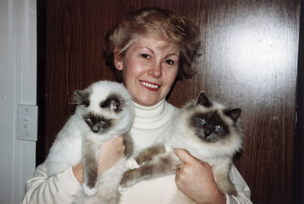 Birman cat club member and breeder Wanda Kent.