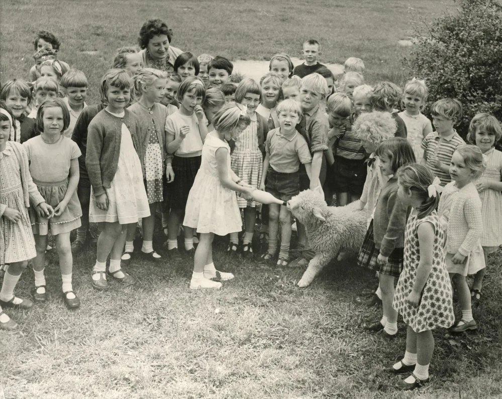 Silverstream School; Primer 4 children and pet lamb.