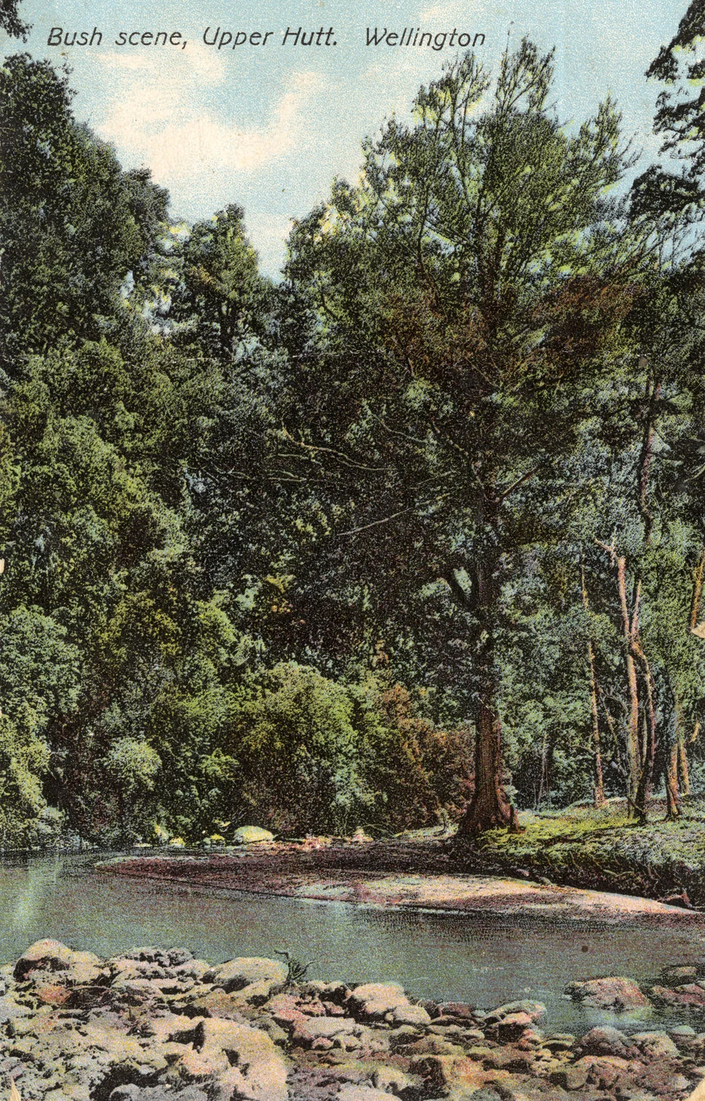 Bush scene; Barton's Bush?