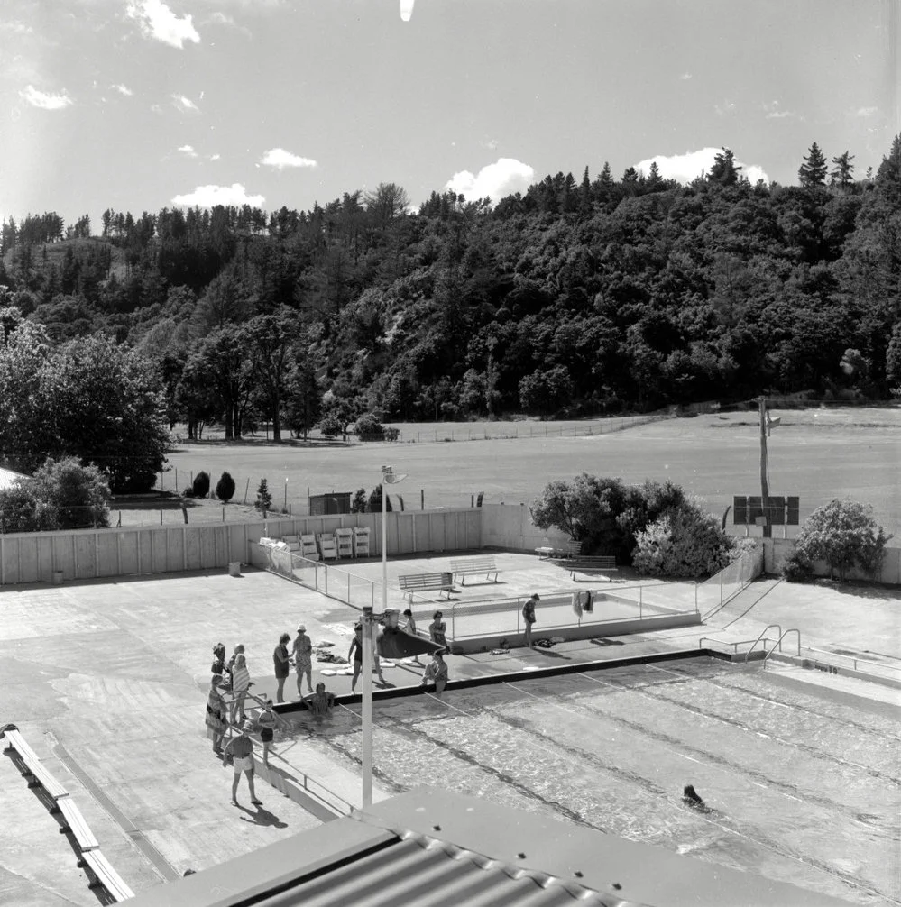 Maidstone Park and swimming pool, from the northwest.