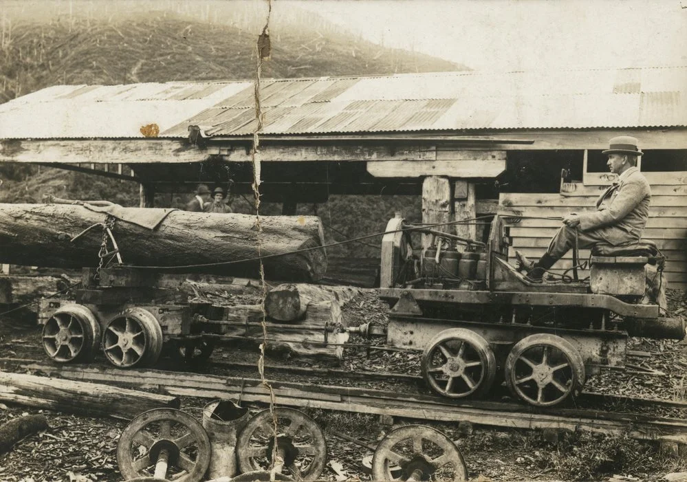 Timber industry; Campbell's Sawmills Ltd, Karapoti; experimental logging tractor.