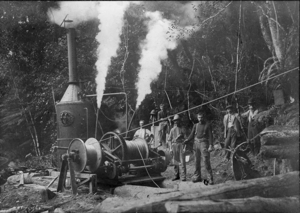 Timber industry; steam-powered hauling winch. [P3-4-8]