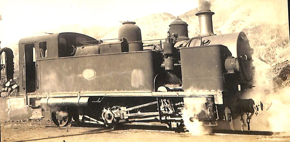 New Zealand Railways locomotive, H 0-4-2 T class; 'Fell'; number illegible