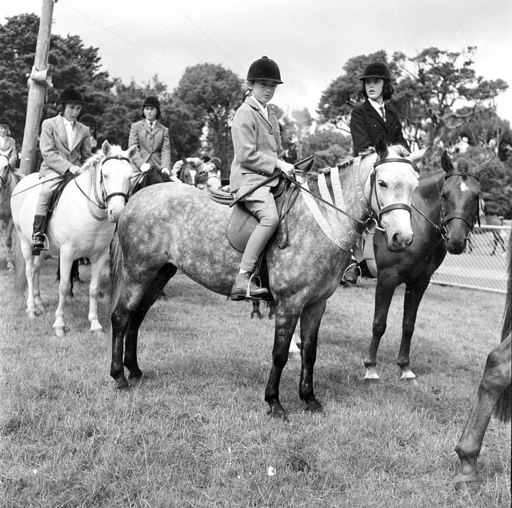 A & P show; ponies.