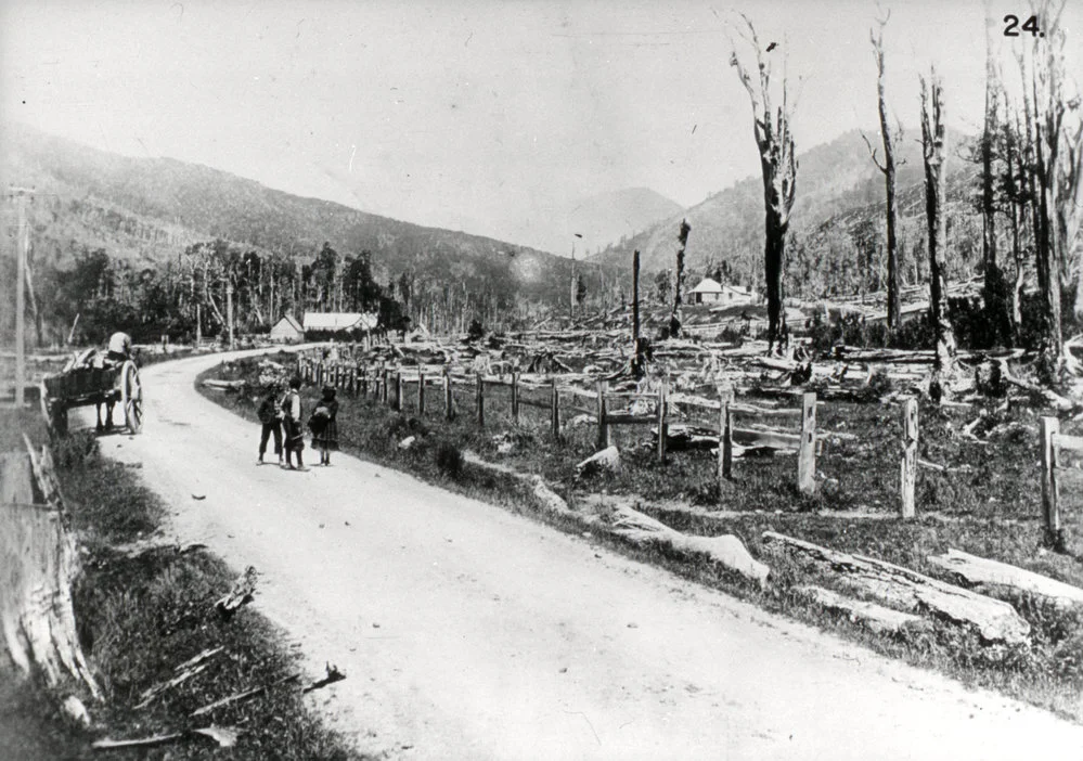 Hutt Valley History 24; Land Clearing and flooding 1; cleared land