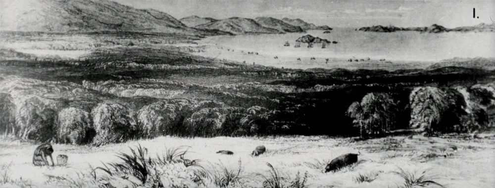 Hutt Valley History 1; Early History 001; the valley, when settlers arrived.