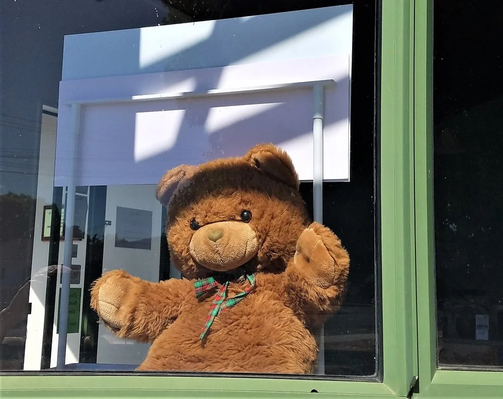 Teddy Bear at Community Resource Centre, Katikati during Covid-19 lockdown