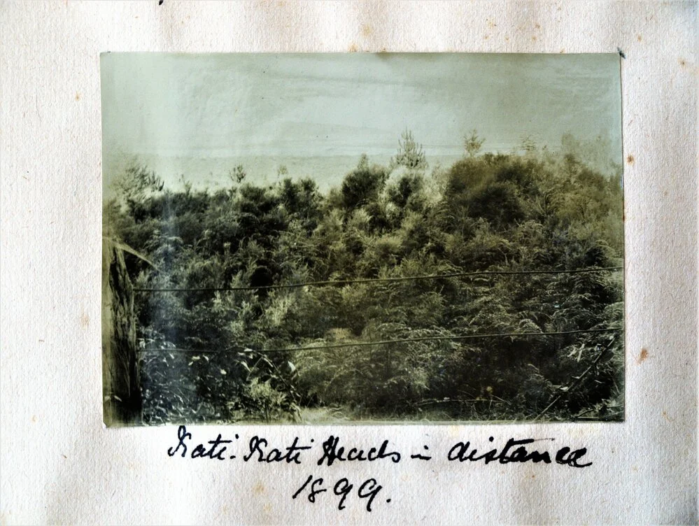 View through a wire fence of Athenree bush with Katikati Heads in the distance