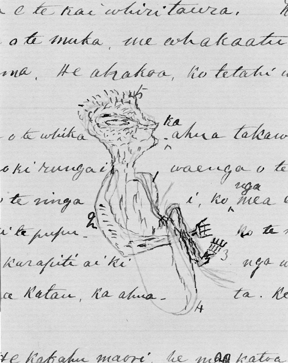The sketch of a figure from a Maori manuscript