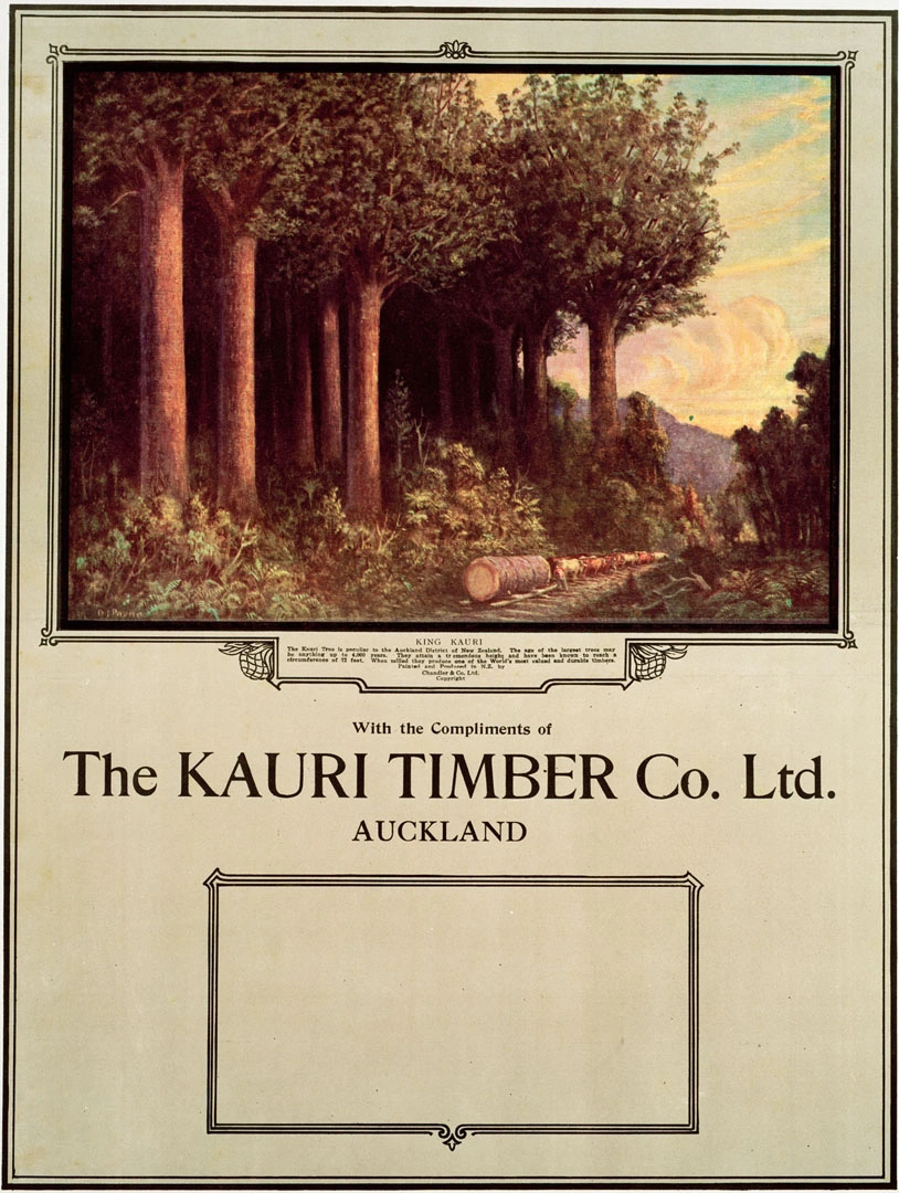 Kauri Timber Company