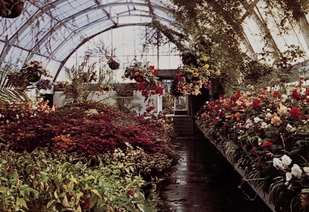 Botanic Gardens, Christchurch