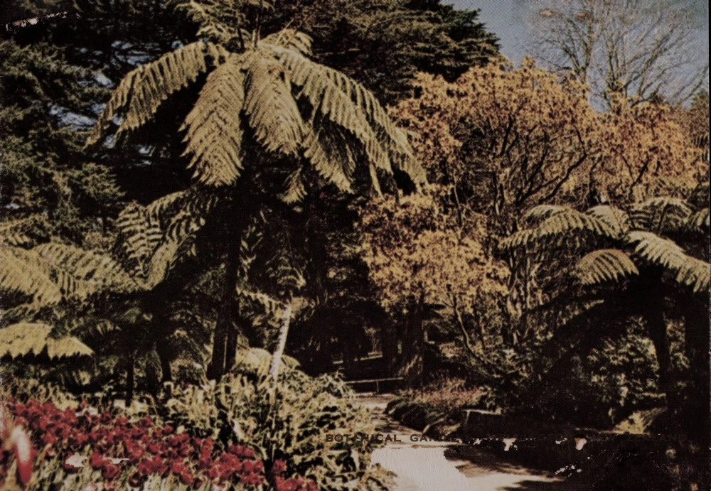 Botanical Gardens, Wellington, New Zealand