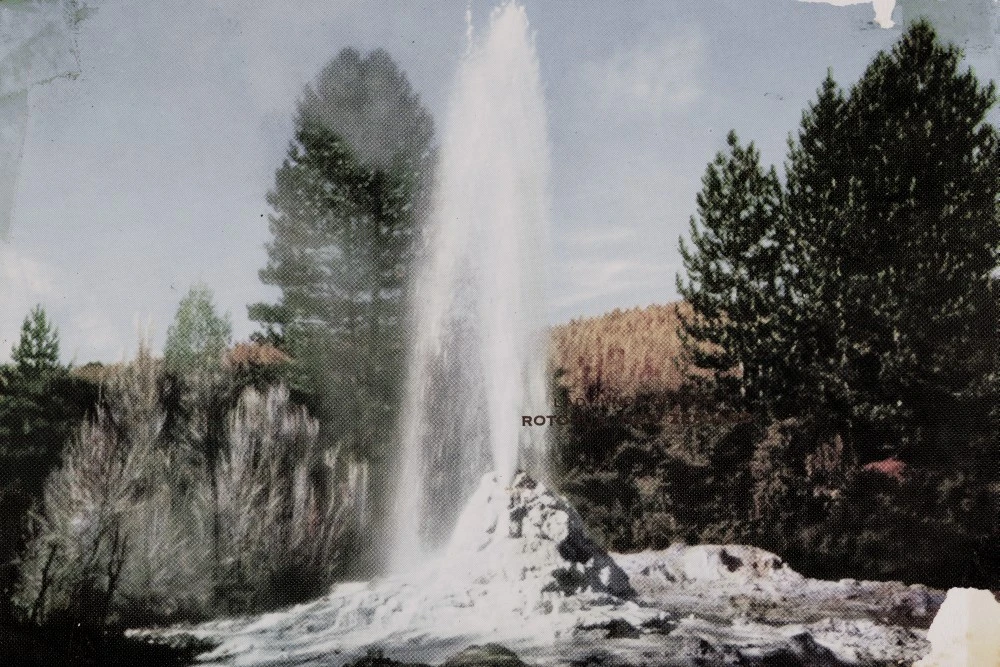 Lady Knox Geyser, Rotorua, New Zealand