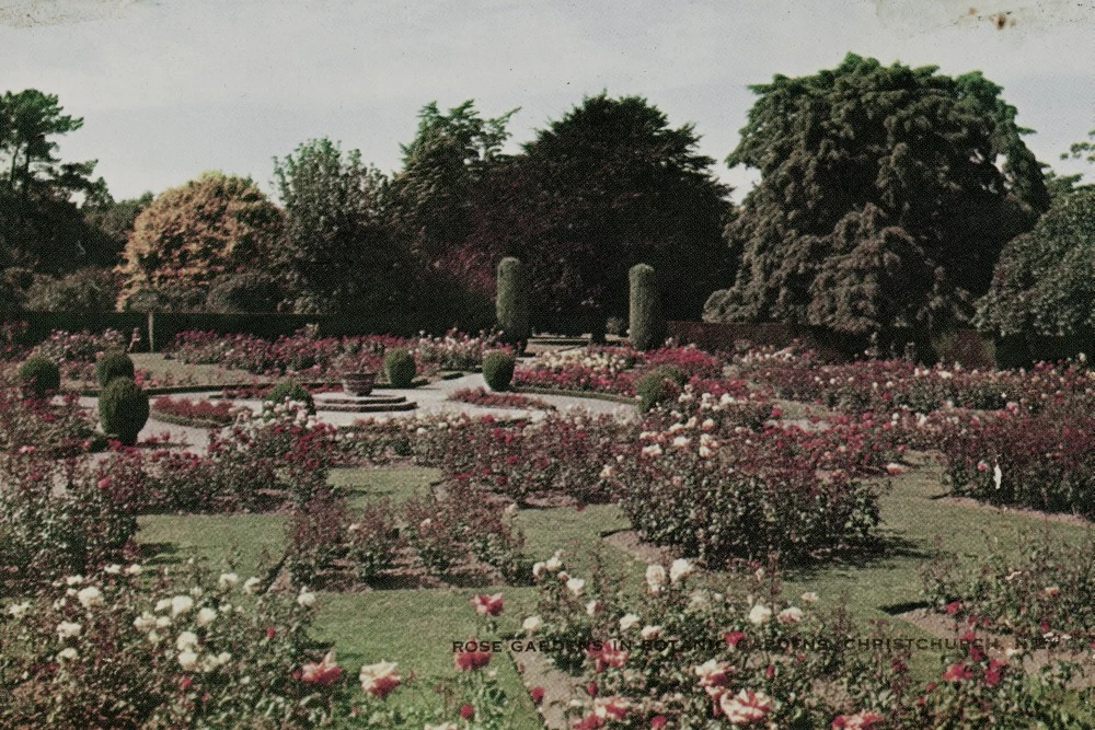 Rose Gardens in Botanic Gardens, Christchurch, N.Z.